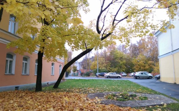 Посещение ГБУ РК «