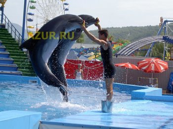 архипо-осиповка отдых